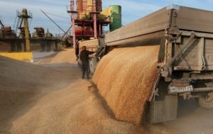 Украина нацелилась на рекодный экспорт зерна