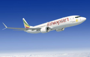 В Эфиопии разбился пассажирский самолет