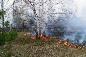В Ровенской области горит второй по размерам природный заповедник Украины