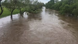 Убытки от паводка на Закарпатье превышают 150 млн гривен