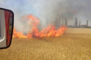 В Николаевской области горели 99 га поля с пшеницей