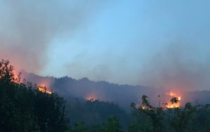 На Закарпатье масштабный пожар: горят виноградники и лес