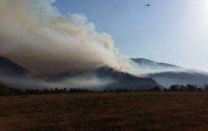 Грузию охватили лесные пожары