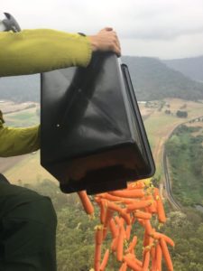 В Австралии на районы пострадавшие от пожаров сбросили тысячи килограммов овощей
