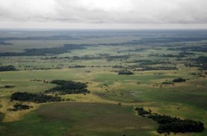 В Амазонии обнаружены следы развитой “протоцивилизации”
