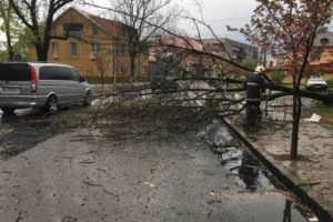 Из-за непогоды в Ивано-Франковской области погибли два человека