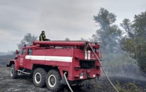 На Луганщине ликвидировали лесной пожар