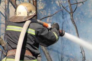 В Харьковской обл. потушили один из лесных пожаров