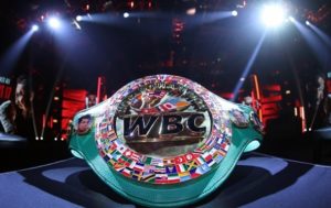 Президент WBC официально объявил о создании нового дивизиона в боксе