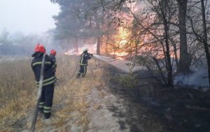 Пожары в Луганской области: в опасности более 30 населенных пунктов
