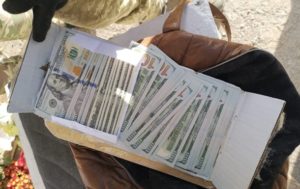 Женщина использовала собаку, для переноски валюты в “ДНР”