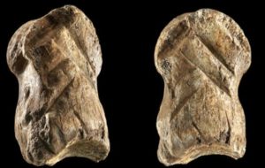 Неандертальцы изготовили украшение из кости оленя более 51 тысячи лет назад