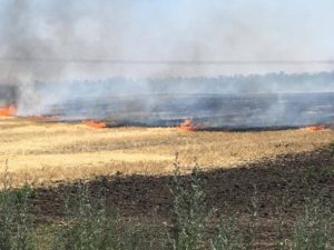 Армия РФ сжигает поля с пшеницей в Украине
