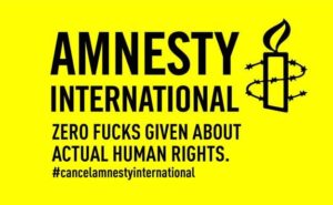Фінська філія Amnesty International втратила близько 400 донорів через звіт про ЗСУ