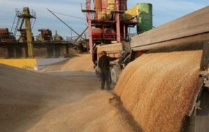 Україна експортувала 12,9 млн тонн зерна
