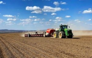 Україна засіяла мільйон гектарів зернових