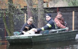 ДСНС повідомила про спад водопілля на Дніпрі