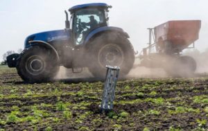 Україна засіяла понад 3,5 млн гектарів зернових
