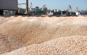 Україна подала до СОТ позови проти Польщі, Словаччини та Угорщини через заборону на імпорт зерна – Мінекономіки