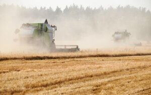 Україна і Польща провели переговори щодо зерна